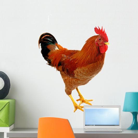 Red Rooster Wall Decal