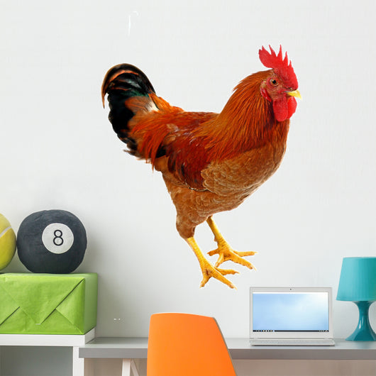 Red Rooster Wall Decal