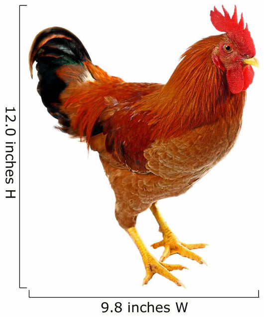 Red Rooster Wall Decal