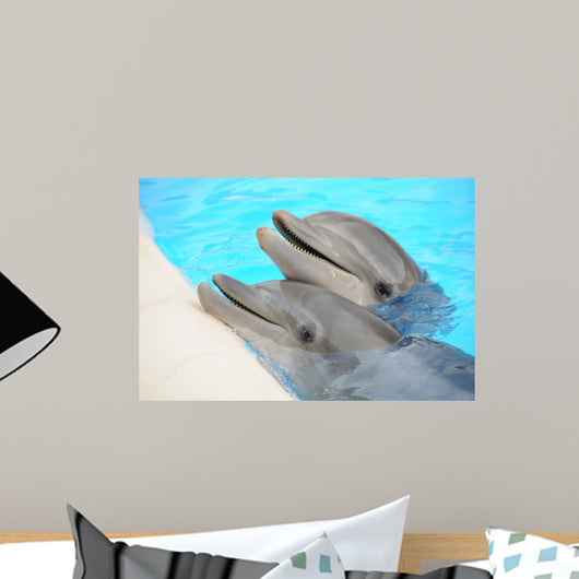Dolphin Wall Decal