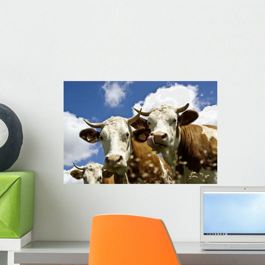 Cows Wall Decal