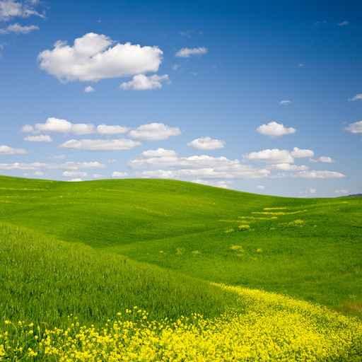 Flowered Landscape Wall Decal