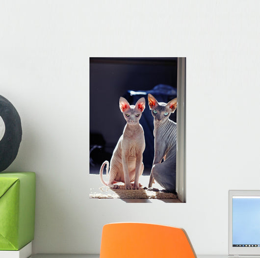 Sphynx Wall Decal
