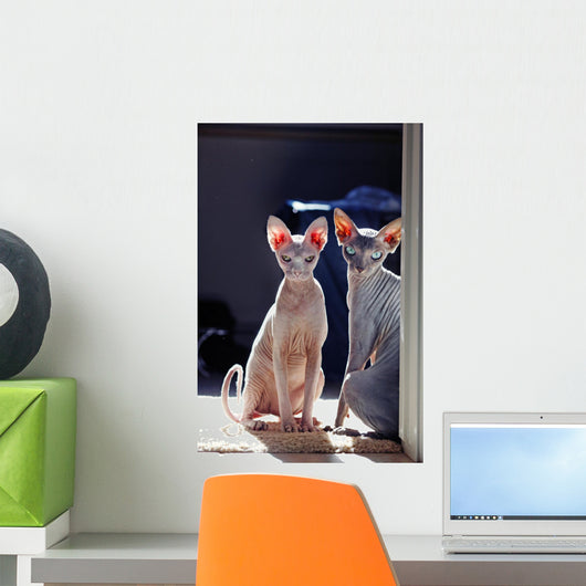 Sphynx Wall Decal