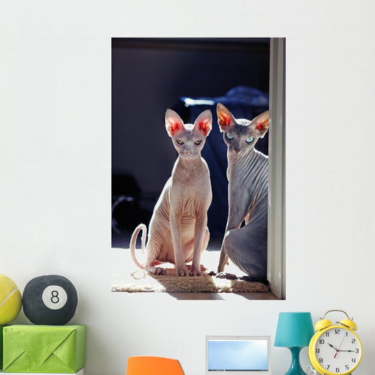 Sphynx Wall Decal