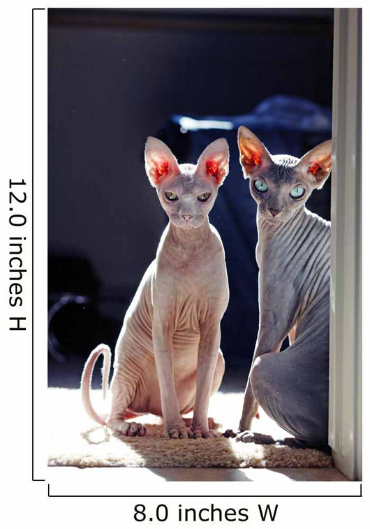 Sphynx Wall Decal