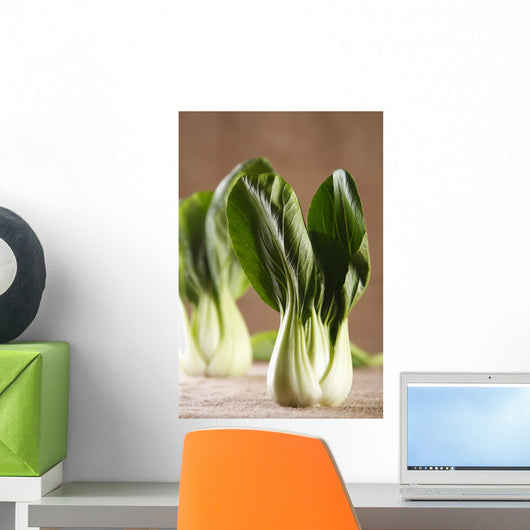 Chinese Cabbage Bok Choy Wall Decal