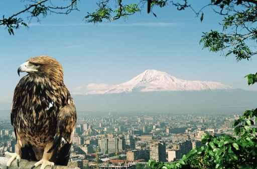 Mountain Ararat Wall Decal