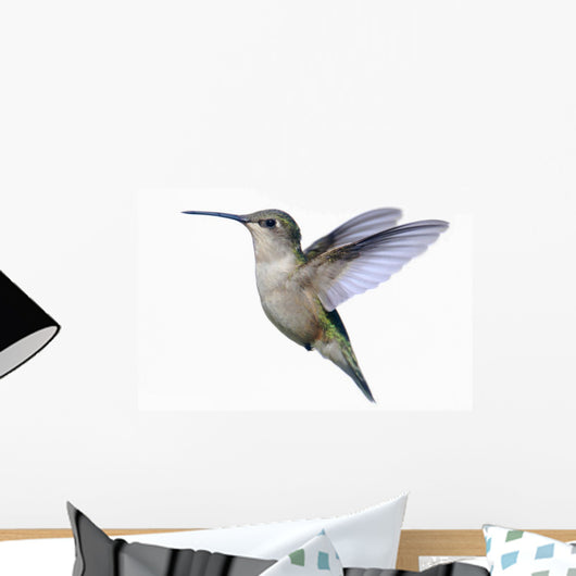 Ruby-throated Hummingbird Wall Decal