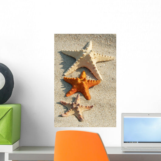 Starfish Wall Decal