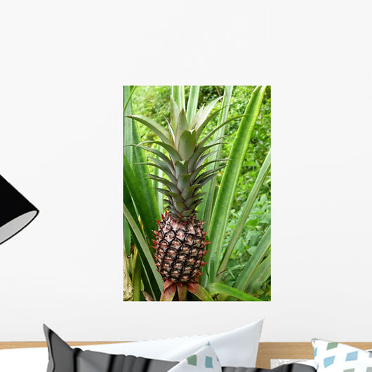 Pineapple Plant Wall Decal