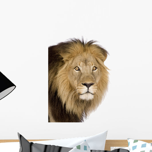 Close-up Lion's Head 4 Wall Decal