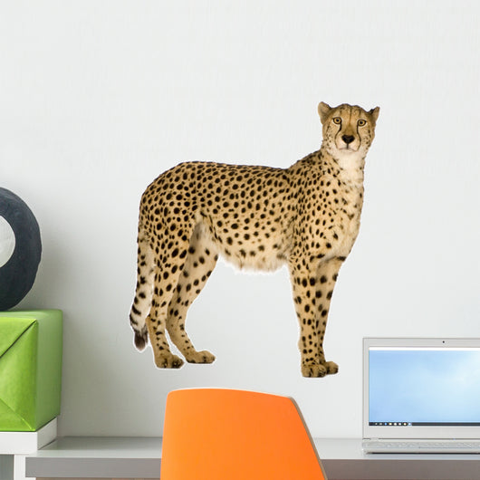 Standing Side Cheetah Wall Decal