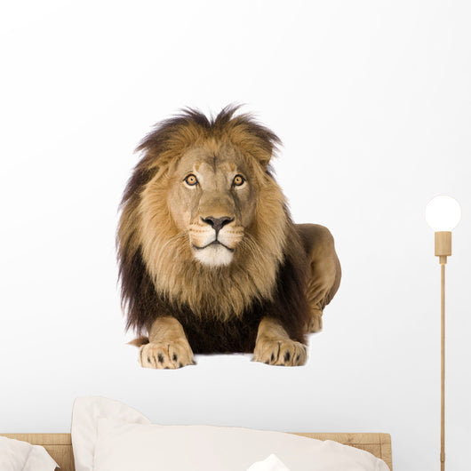 Alert Male Lion Wall Decal