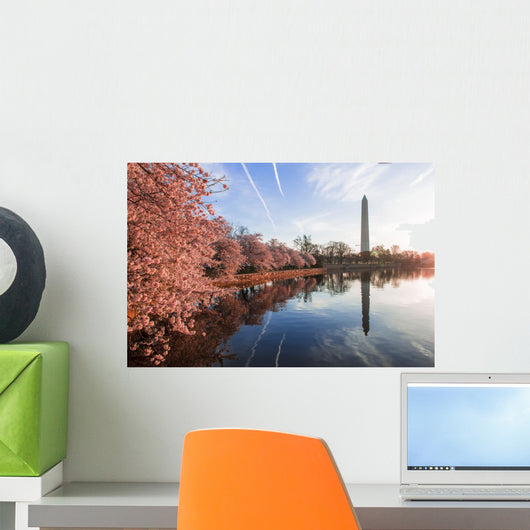 Cherry Blossoms Peak Bloom Wall Decal