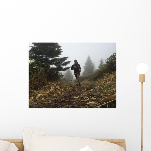 Man Running High Mountain Wall Decal