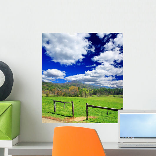 Smoky Mountain National Park Wall Decal