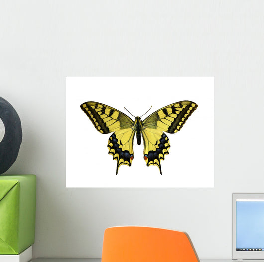 Butterfly Papilio Machaon Wall Decal