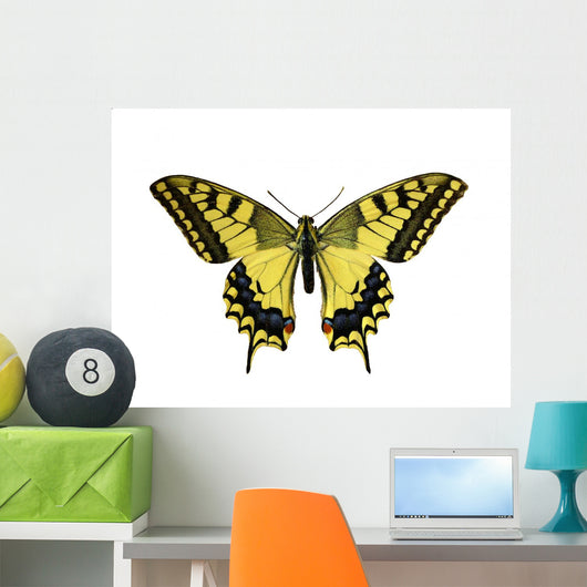 Butterfly Papilio Machaon Wall Decal