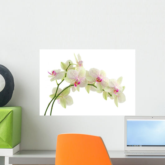 Orchid White Wall Decal