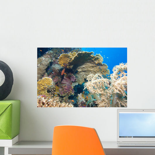 Red Sea Underwater Landscape Wall Decal