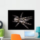 Indian Ornamental Tarantula Wall Decal