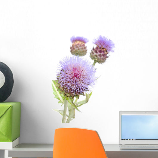 Blooms Cynara Cardunculus Cardoon Wall Decal