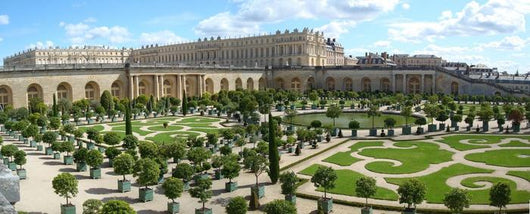 Versailles L'orangerie Wall Decal