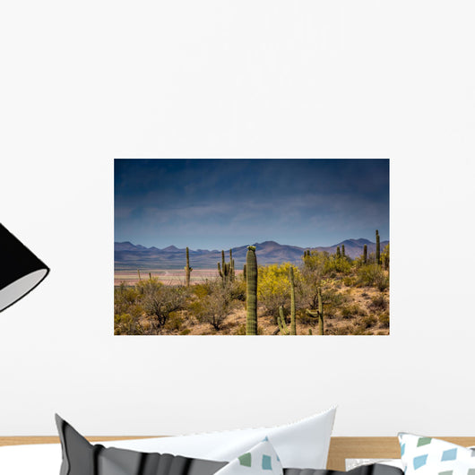 Arizona Desert Landscape Wall Decal