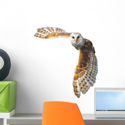 Flying Barn Owl Wall Decal