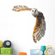 Flying Barn Owl Wall Decal