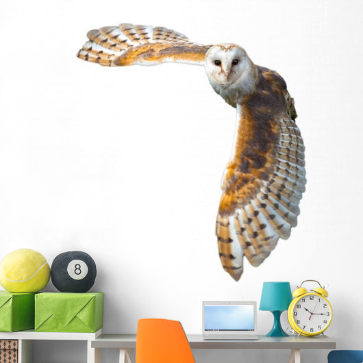 Flying Barn Owl Wall Decal