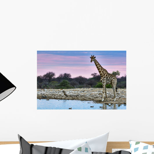 Giraffe Sunset Wall Decal