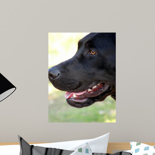 Labrador Wall Decal