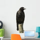 Young Carrion Crow Wall Decal