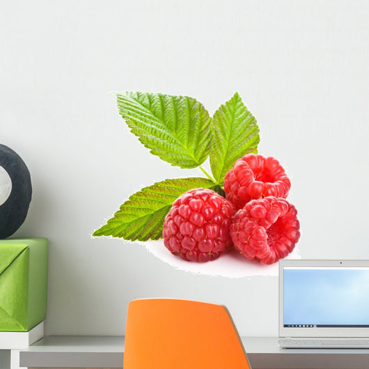 Bunch Red Raspberry White Wall Decal