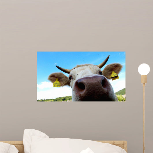 Nose Cow Wall Decal