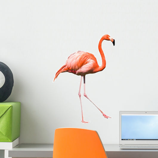 Dancing Red Caribbean Flamingo Wall Decal
