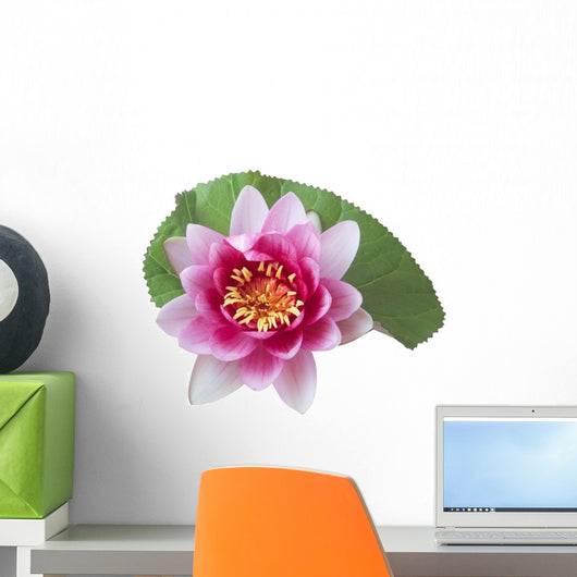 Pink Lotus Lily Flower Wall Decal