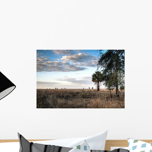 Over Savanna National Park Wall Decal