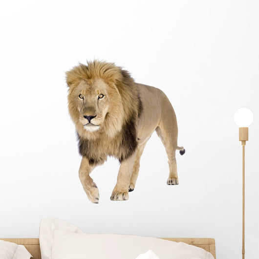 Walking Male Lion Wall Decal