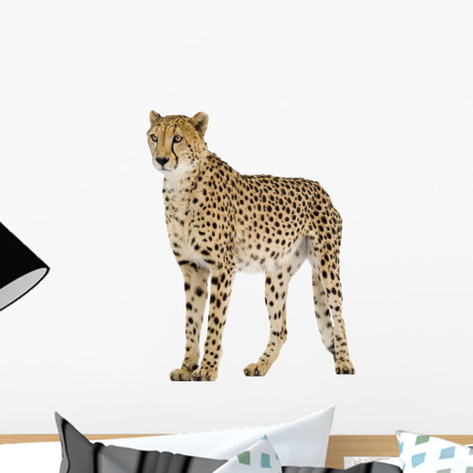 Standing Cheetah Wall Decal
