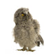 Long-eared Owl 7 Weeks Wall Decal