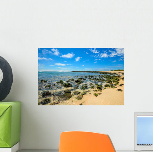 Beach Punta Carola Galapagos Wall Decal