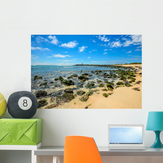 Beach Punta Carola Galapagos Wall Decal