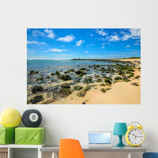 Beach Punta Carola Galapagos Wall Decal
