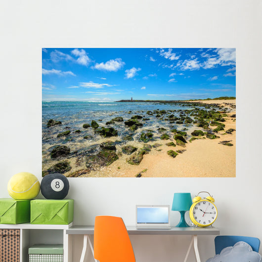Beach Punta Carola Galapagos Wall Decal