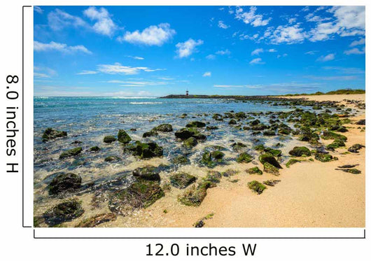 Beach Punta Carola Galapagos Wall Decal