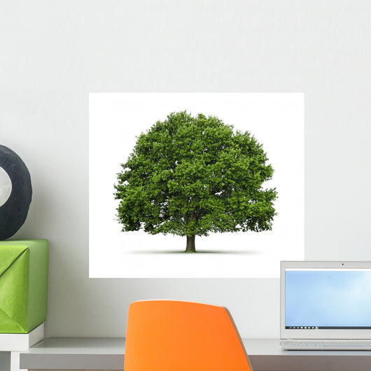 Tree Oak Wall Decal
