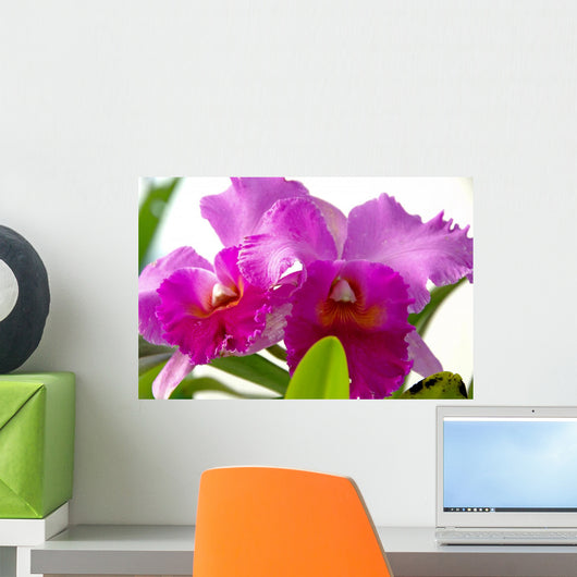 2 Fuchsia Orchids Wall Decal